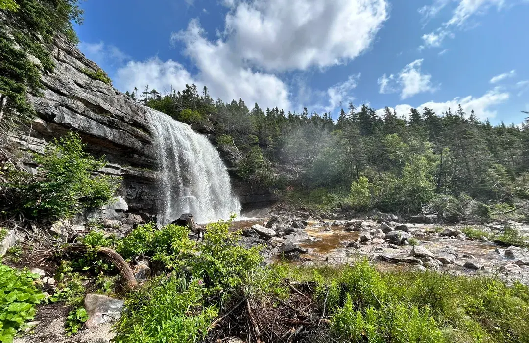 Hidden Falls Adventures